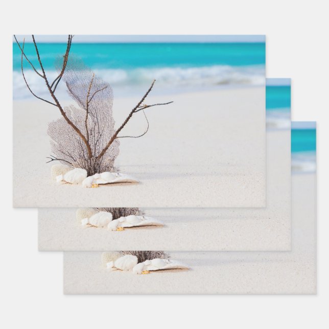 Sandy Beach with White Seashells Wrapping Paper Sheets (Set)