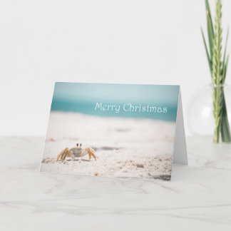 Sandy Crab Christmas Holiday Card