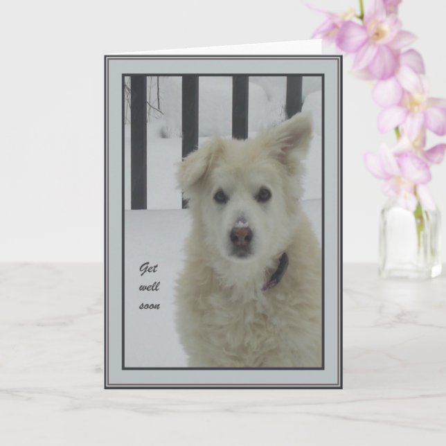 *Sandy Dog - Get Well Soon Card (Orchid)
