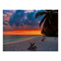 Sandy Hawaiian Island Sunset Palm Beach Paradise