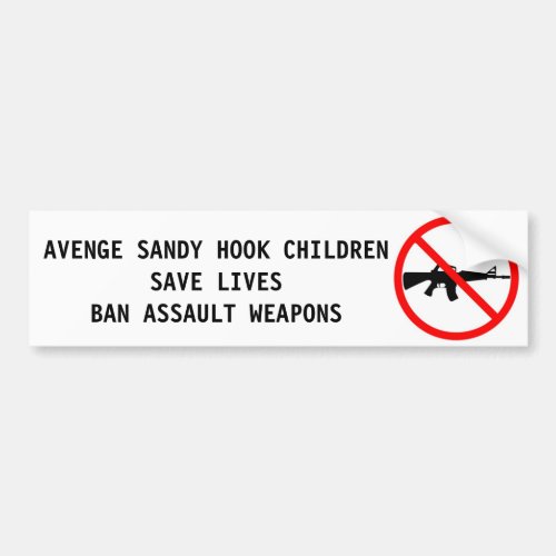 Sandy Hook Assault Rife Weapon Shooting Bumper Sticker