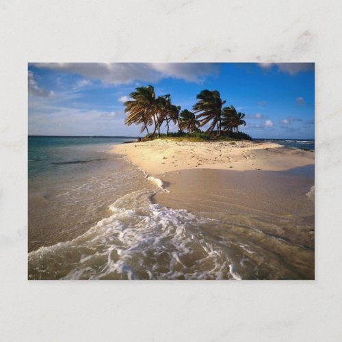 Sandy Island Anguilla Caribbean Postcard