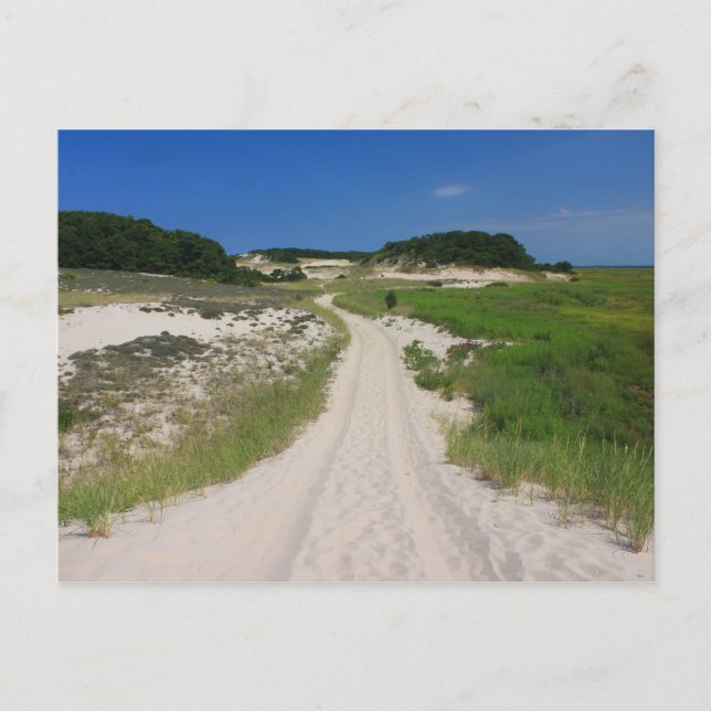 Sandy Neck Beach Marsh Trail Barnstable Cape Cod Postcard (Front)