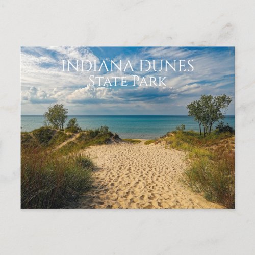 Sandy Path to Lake Michigan Beach Indiana Dunes Postcard