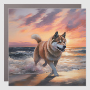 Sandy Paws Akita Dog on Beach Sunset Car Magnet