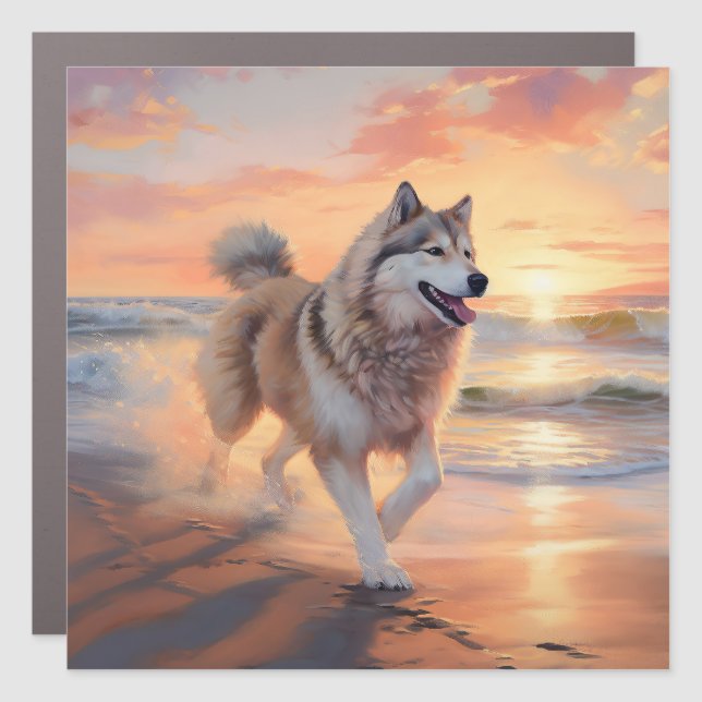 Sandy Paws Alaskan Malamute Dog on Beach Sunset Car Magnet (Front)