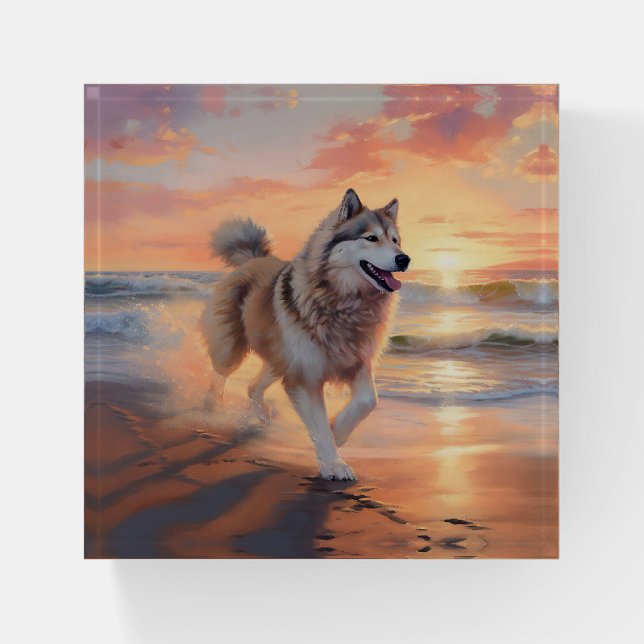 Sandy Paws Alaskan Malamute Dog on Beach Sunset Paperweight (Front)