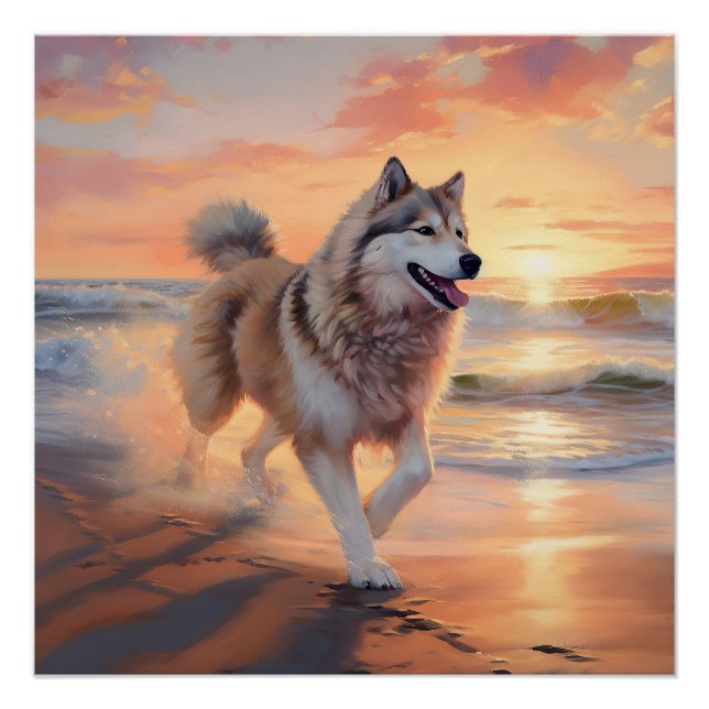 Sandy Paws Alaskan Malamute Dog on Beach Sunset Poster (Front)