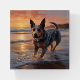 Sandy Paws Australian Cattle Dog on Beach Sunset Paperweight