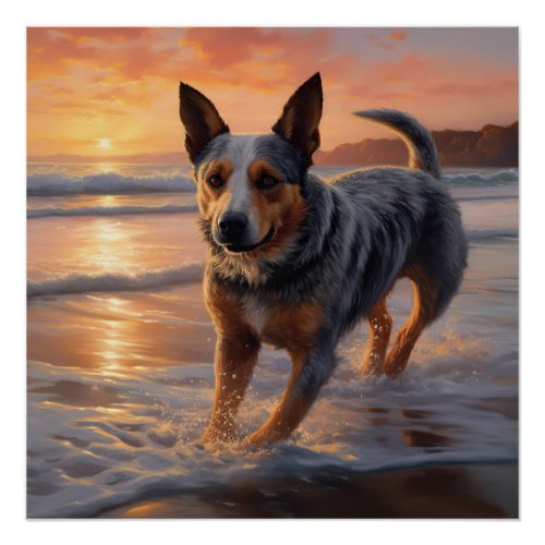 Sandy Paws Australian Cattle Dog on Beach Sunset Poster