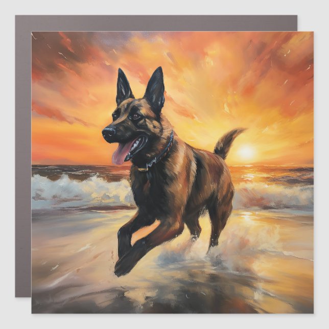 Sandy Paws Belgian Malinois Dog on Beach Sunset  Car Magnet (Front)