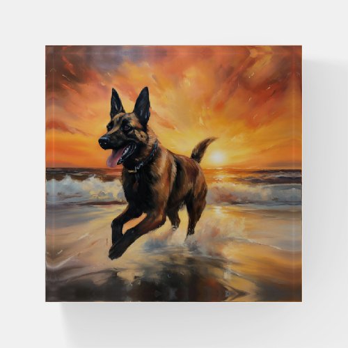 Sandy Paws Belgian Malinois Dog on Beach Sunset  Paperweight