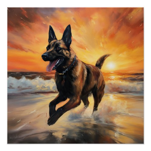 Sandy Paws Belgian Malinois Dog on Beach Sunset  Poster