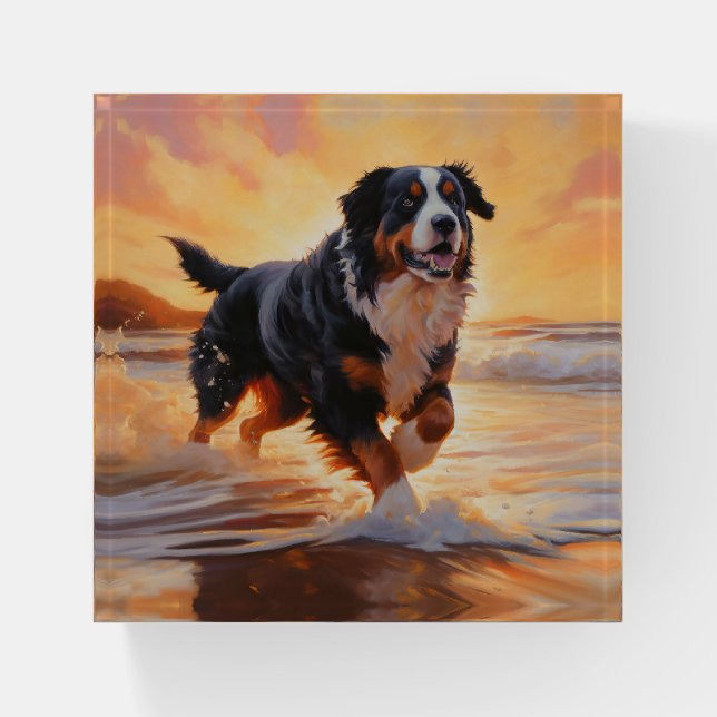 Sandy Paws Bernese Mountain Dog on Beach Sunset  Paperweight (Front)