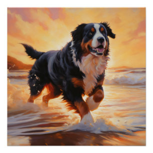 Sandy Paws Bernese Mountain Dog on Beach Sunset  Poster