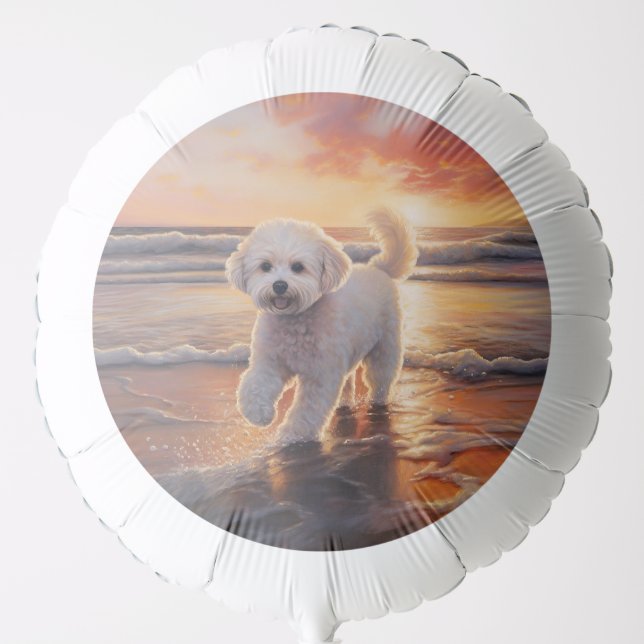 Sandy Paws Bichon Frise Dog on Beach Sunset  Balloon (Front)