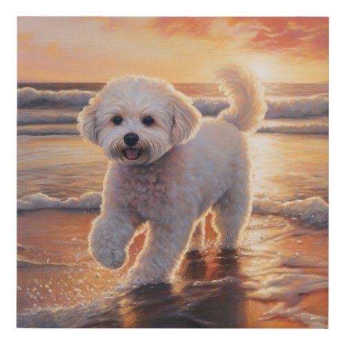 Sandy Paws Bichon Frise Dog on Beach Sunset  Faux Canvas Print