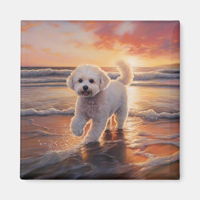 Sandy Paws Bichon Frise Dog on Beach Sunset  Magnet (Front)