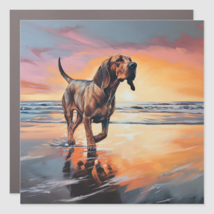 Sandy Paws Bloodhound Dog on Beach Sunset Car Magnet