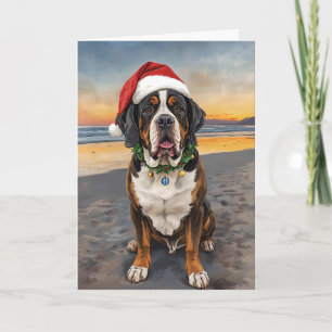 Sandy Paws & Holiday Claus – St. Bernard Christmas Card