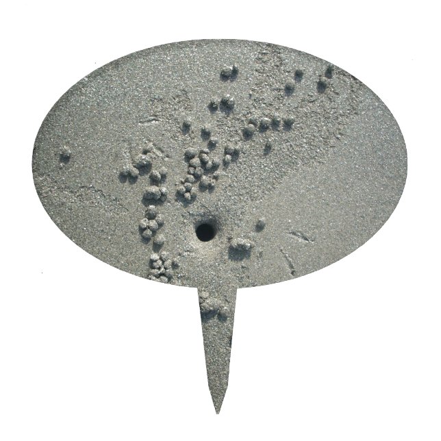 Sandy Sculptures: Beach Crabs-Made Sand Formations Cake Topper (Front)