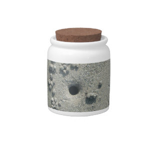 Sandy Sculptures: Beach Crabs-Made Sand Formations Candy Jar