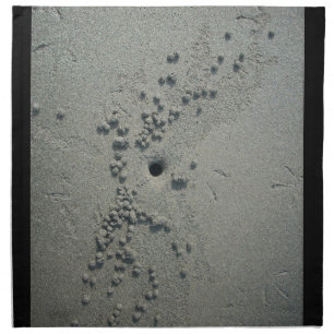 Sandy Sculptures: Beach Crabs-Made Sand Formations Cloth Napkin