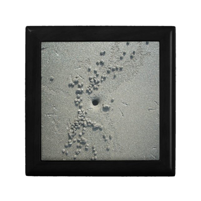 Sandy Sculptures: Beach Crabs-Made Sand Formations Jewelry Box (Front)