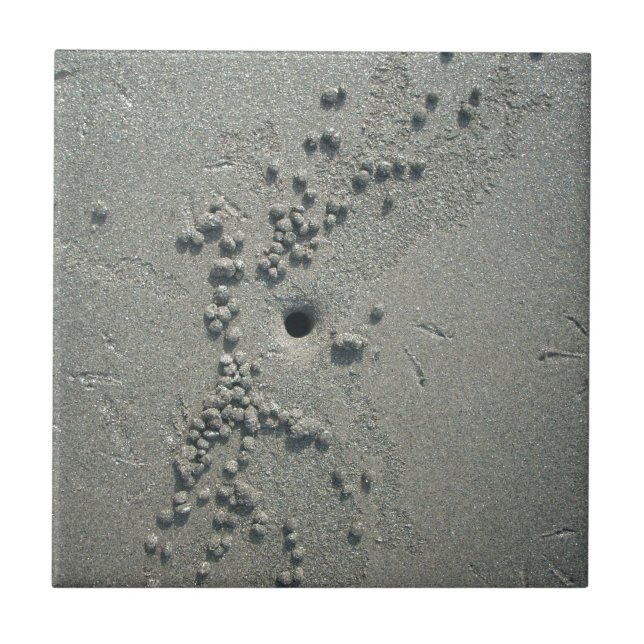 Sandy Sculptures: Beach Crabs-Made Sand Formations Tile (Front)
