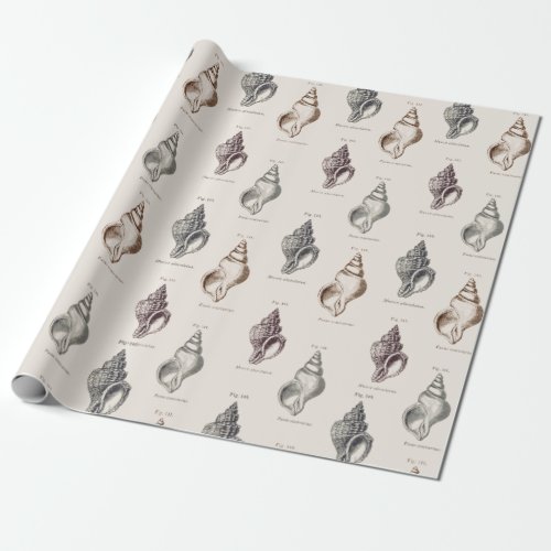 Sandy Shells Vintage Seaside Pattern  Wrapping Pap Wrapping Paper