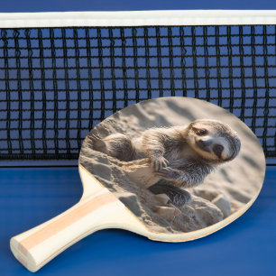 Sandy Shores : Baby Sloth Building Sand Castles, Ping Pong Paddle