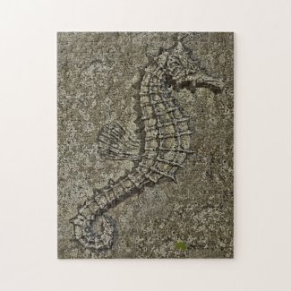 Sandy Textured Seahorse Photograph