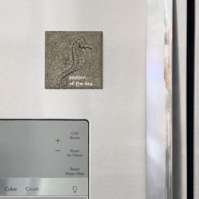 Sandy Textured Seahorse Photograph Magnet (In Situ (Fridge))