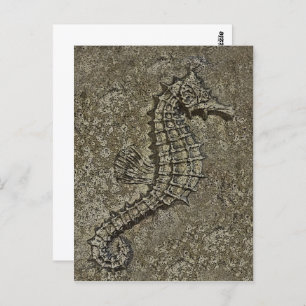 Sandy Textured Seahorse Photograph Postcard