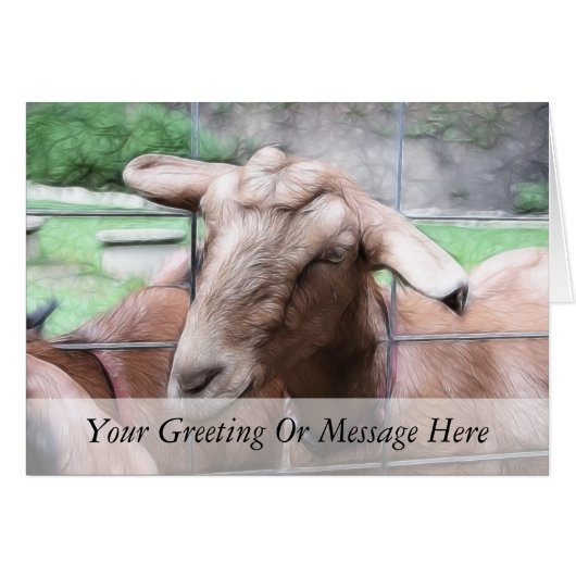 Sandy The Goat At The Gate Cards (Front Horizontal)