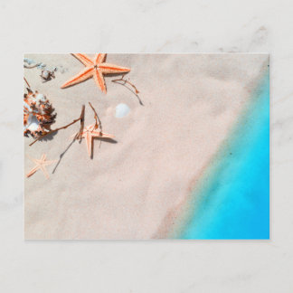 Sandy Tropical Beach Starfish Seashell Postcard