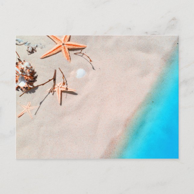 Sandy Tropical Beach Starfish Seashell Postcard (Front)