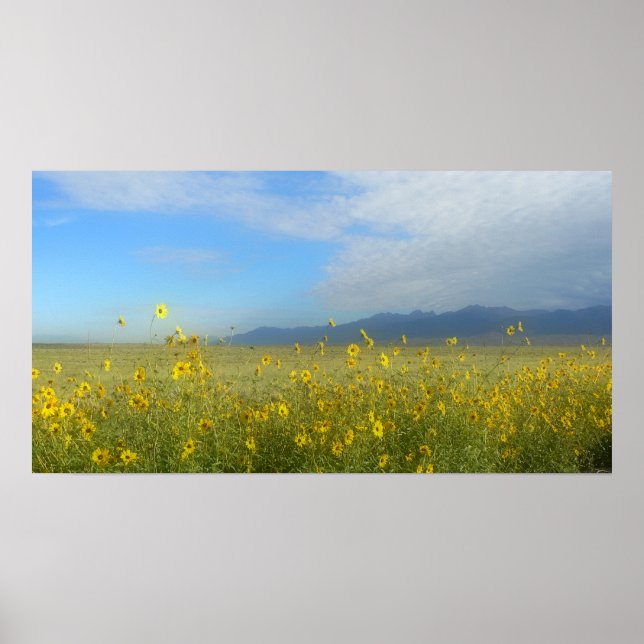 Sangre de Cristo, Great Sand Dunes and flowers Poster (Front)