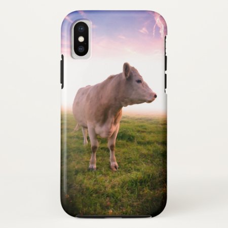 Sangria Sunset Country Cow In Pasture Iphone X Case