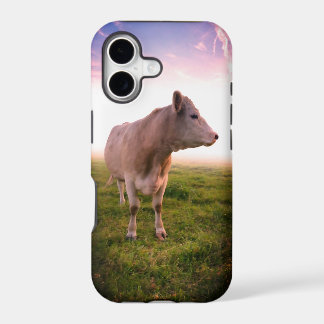 Sangria Sunset Country Cow in Pasture iPhone 17 Case