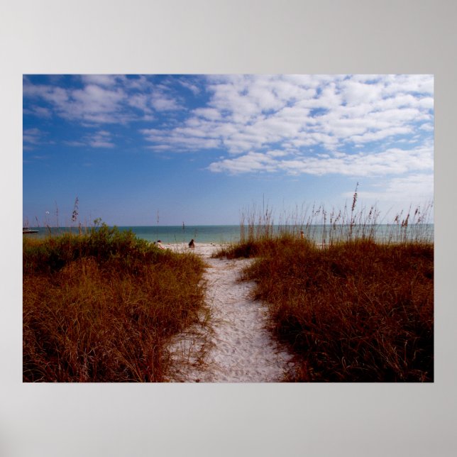 Sanibel Beach Poster (Front)