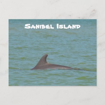 Sanibel Dolphin Postcard by PhotosfromFlorida at Zazzle