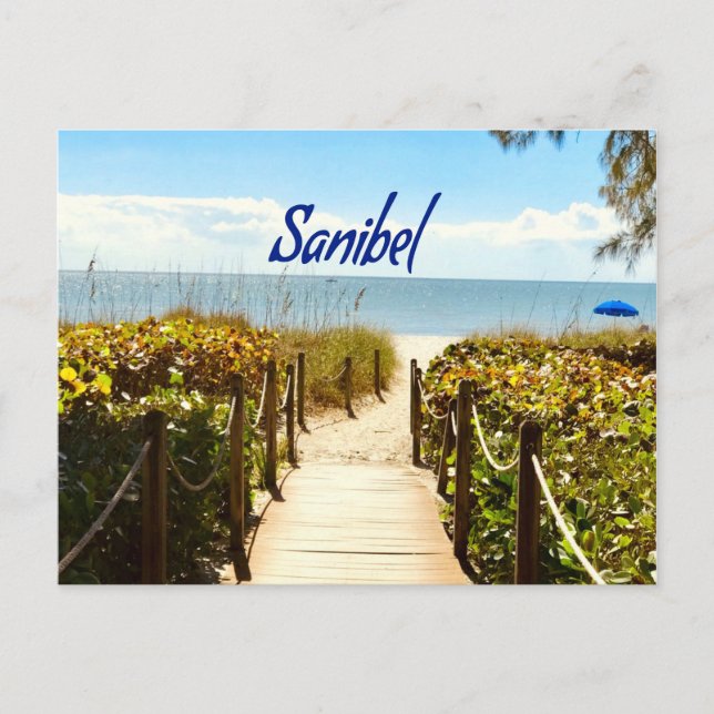 Sanibel Island Florida Beach Ocean Postcard (Front)