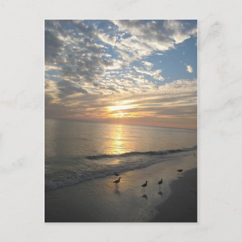 Sanibel Island Florida Postcard