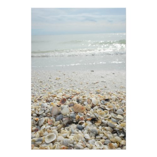 Sanibel Shells Photo Print