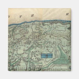 Sanitary and Topographical Map of New York City Magnet
