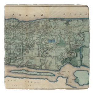 Sanitary and Topographical Map of New York City Trivet