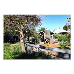 Santa Ana Zoo Photo Print