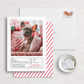 Santa Approved Naughty or Nice Form Photo Holiday Card