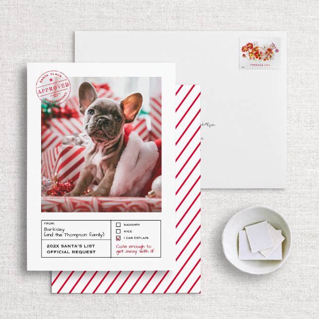Santa Approved Naughty or Nice Form Photo Holiday Card (Creator Uploaded)